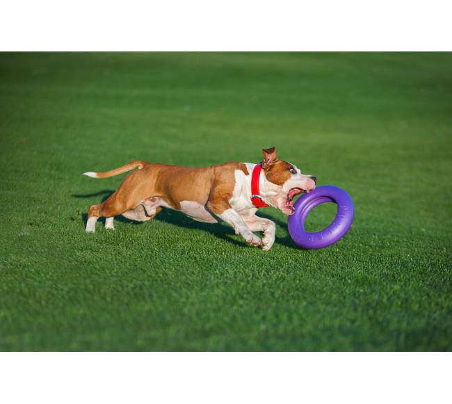 Žaislas - mankštos priemonė šunims PULLER Maxi 30 cm1