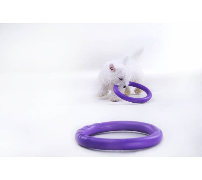 Žaislas - mankštos priemonė šunims PULLER Micro 12,5 cm3