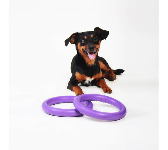 Žaislas - mankštos priemonė šunims PULLER Mini 18 cm1