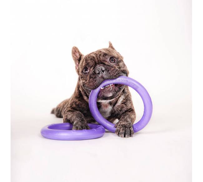 Žaislas - mankštos priemonė šunims PULLER Mini 18 cm5
