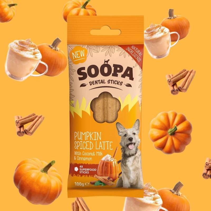 Pumpkin Spiced Latte Sticks lazdelės šunims0