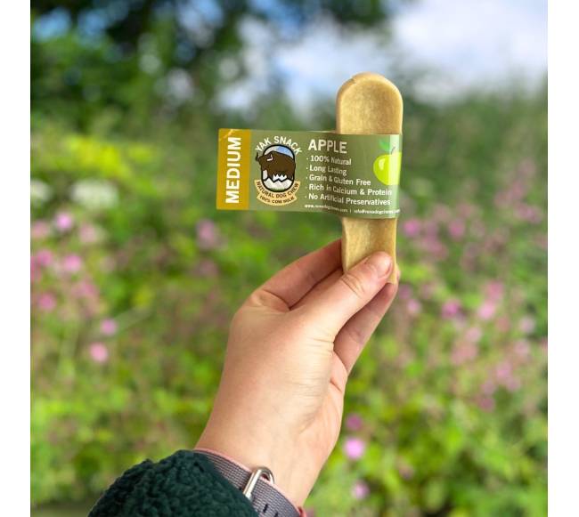 Jako sūris šunims su obuoliais, YAK SNACK, M dydis1