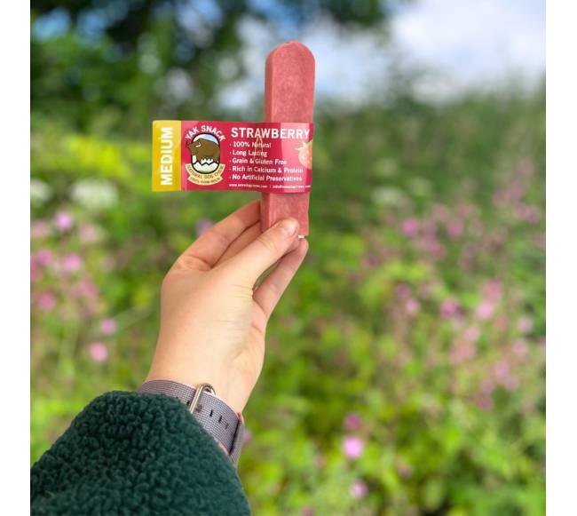 Jako sūris šunims su braškėmis, YAK SNACK, M dydis1