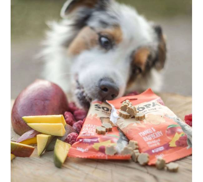 Soopa Healthy Bites šunų skanėstai su mango ir avietėmis (Mango - Raspberry), 50 g4