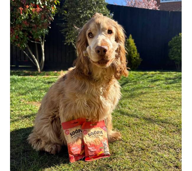 Soopa Healthy Bites šunų skanėstai su mango ir avietėmis (Mango - Raspberry), 50 g7