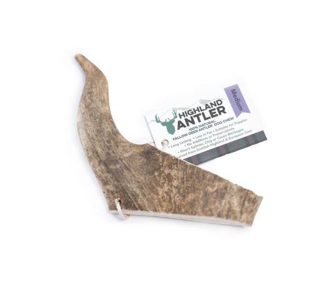 Danieliaus ragas šunims – Highland Fallow Antler – M dydis 76–150 g1