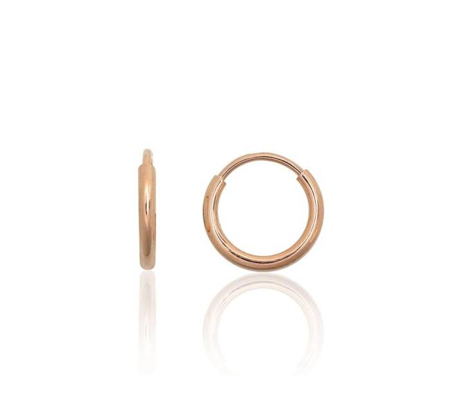 Auksiniai auskarai –žiedai0