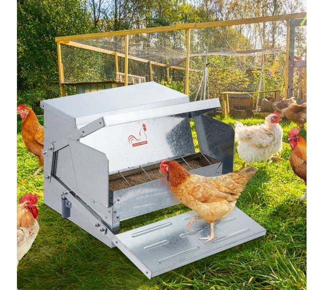 Automatinė vištų šėrykla 11 kg, 10 vištoms7