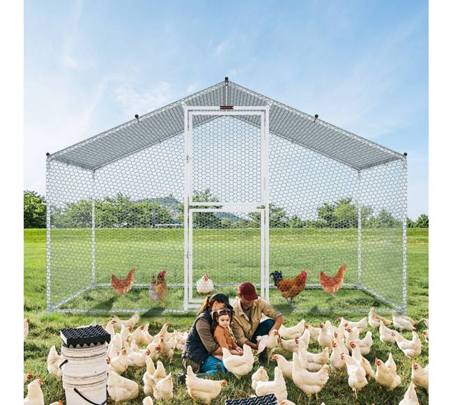 Didelis metalinis vištų aptvaras su dengtu stogu7