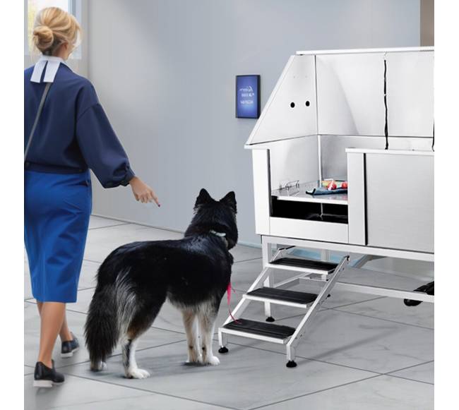 Šuns vonios stotis su laiptais7