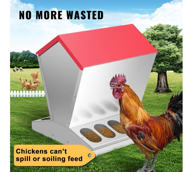 Cinkuotas vištų lesyklos automatas 11 kg5