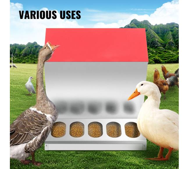 Cinkuotas vištų lesyklos automatas 11 kg6