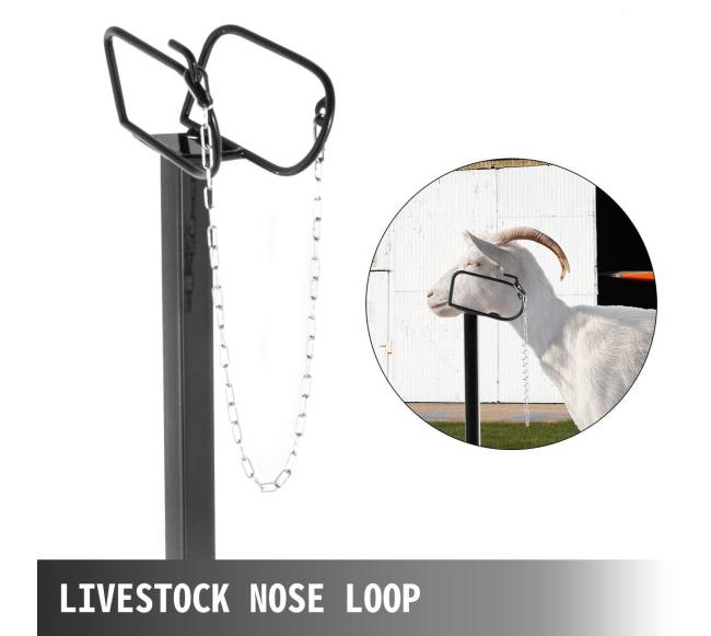 Gyvulių karčiavimo stovas su galvos laikikliu3