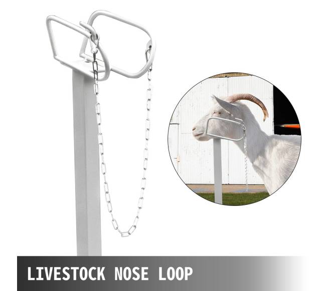 Gyvulių kirpimo stovas su galvos laikikliu3