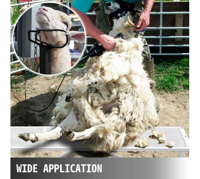 Gyvulių kirpimo stovas su galvos laikikliu6