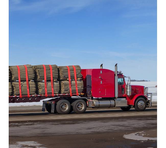 Krovinių tvirtinimo diržai su kabliuku 10.2 cm x 9.1 m7