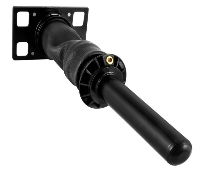 Galinės kabinos amortizatorius International Prostar0