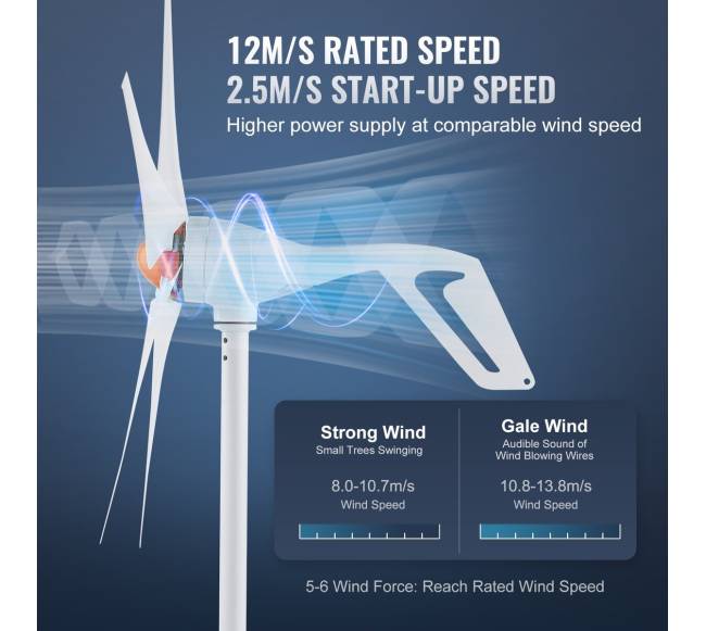 500 W vėjų turbinos generatorius 12 V su MPPT valdikliu2