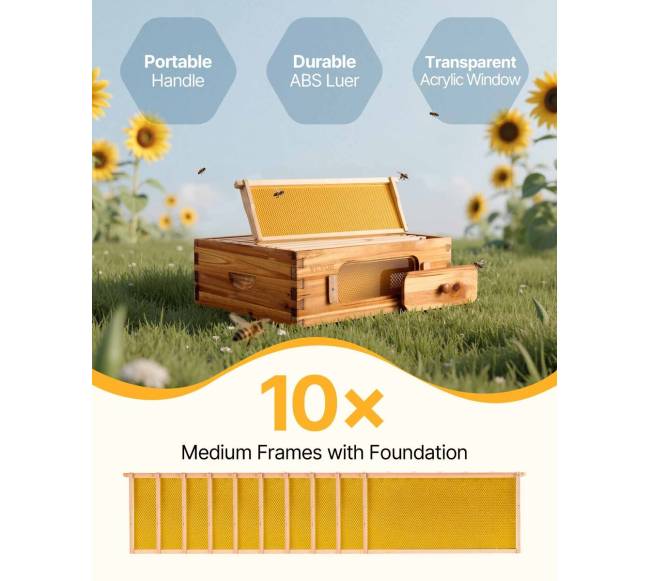 Vidutinė Langstrotho avilys su akriliniais langais1