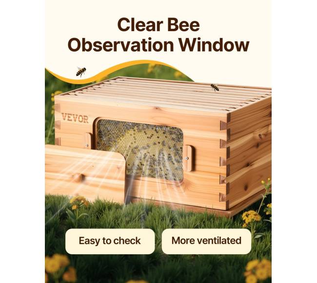 Vidutinė Langstrotho avilys su akriliniais langais4