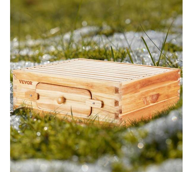 Vidutinė Langstrotho avilys su akriliniais langais7