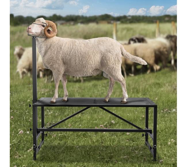 Gyvulių kirpimo stovas 53-83 cm 119x58 cm7