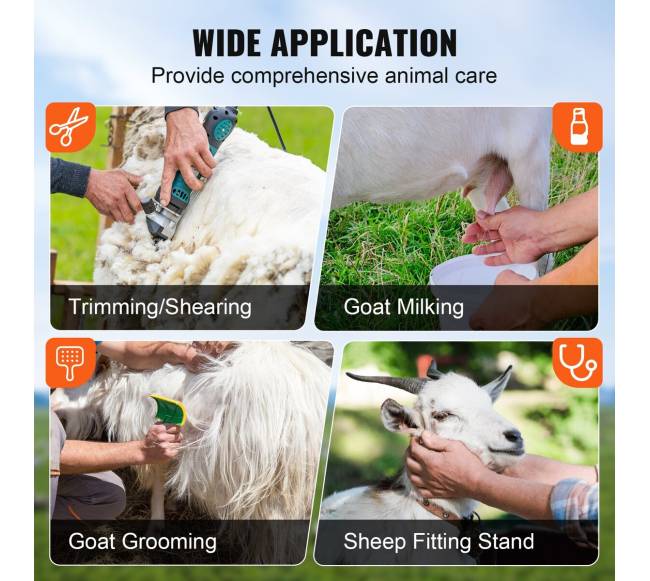 Ūkinių gyvulių kirpimo stovas ožkoms5