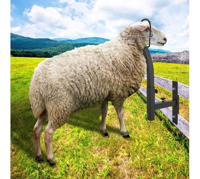 Ūkinių gyvulių kirpimo stovas ožkoms7