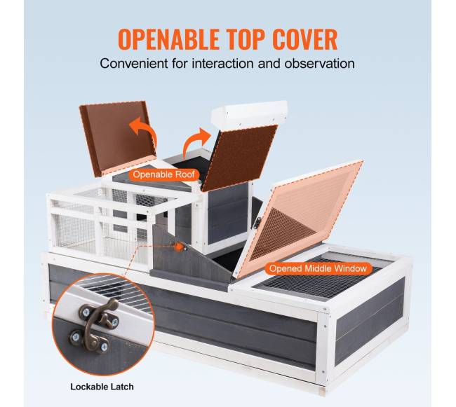 Medinis vėžlio namelis vidujelaisvėje5