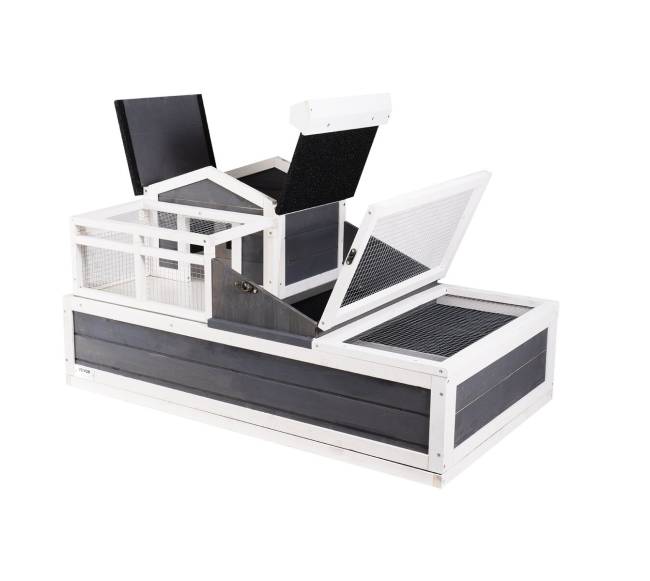 Medinis vėžlio namelis vidujelaisvėje10