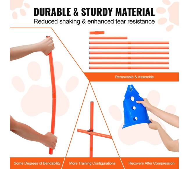 Šunų įgūdžių lavinimo kūgių rinkinys2