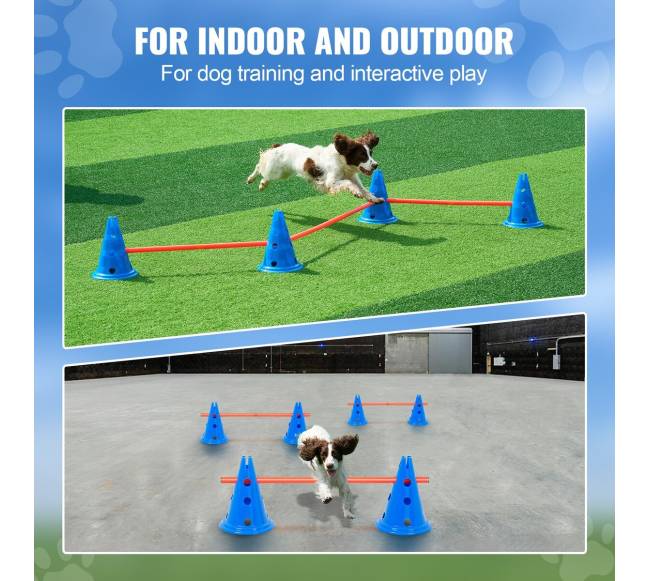 Šunų įgūdžių lavinimo kūgių rinkinys5