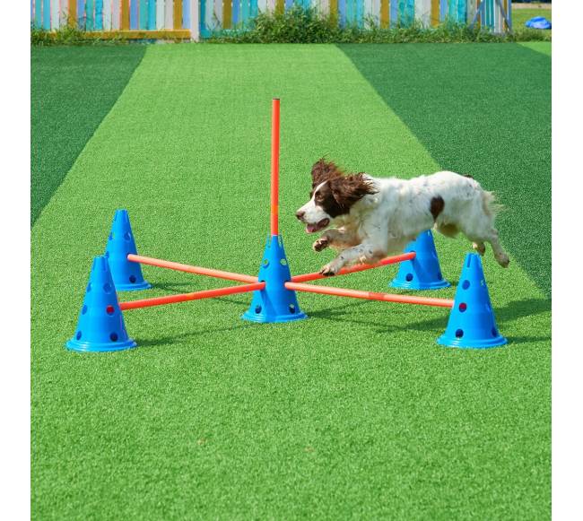 Šunų įgūdžių lavinimo kūgių rinkinys7