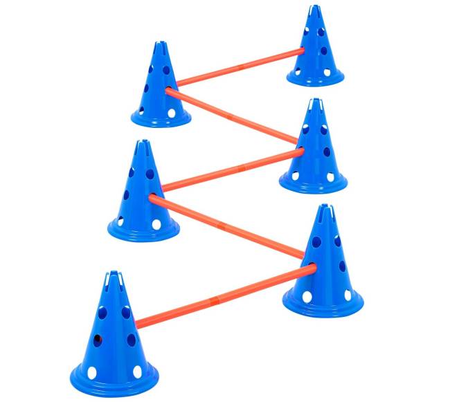 Šunų įgūdžių lavinimo kūgių rinkinys8