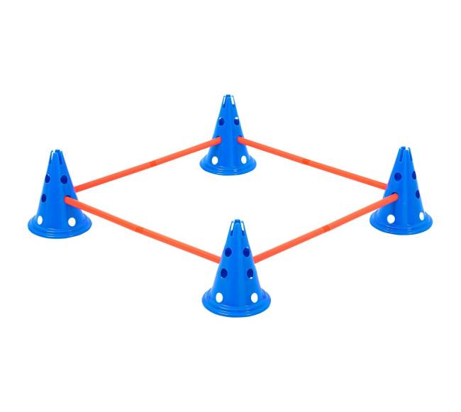 Šunų įgūdžių lavinimo kūgių rinkinys9