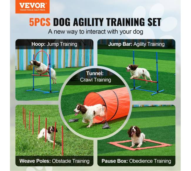 Šunų vikrumo treniruoklių rinkinys 5 vnt.1