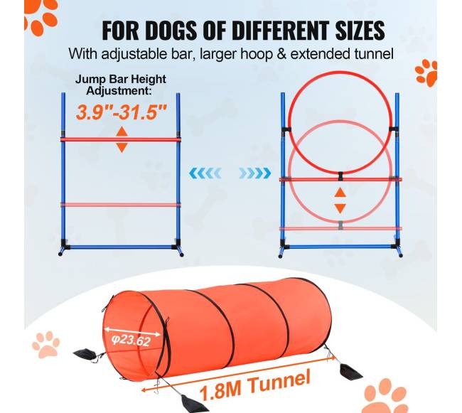 Šunų vikrumo treniruoklių rinkinys 5 vnt.3