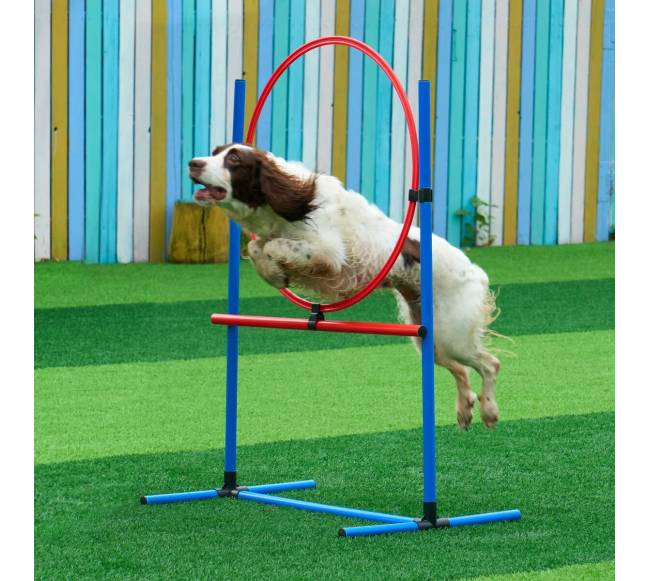 Šunų vikrumo treniruoklių rinkinys 5 vnt.7