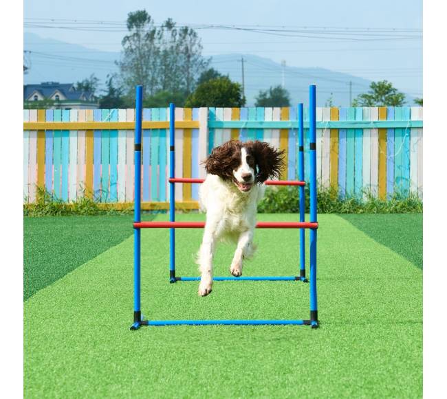 Šunų vikrumo treniruočių rinkinys 7 dalių7