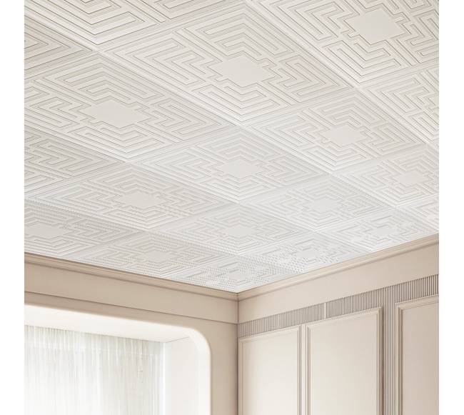 Lubų plokštės 24 x 24 cm PVC, 12 vnt.7