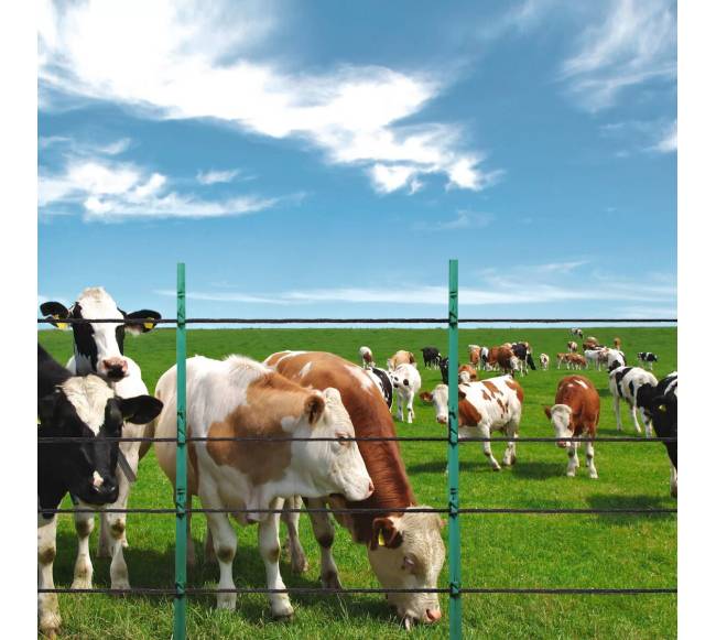 Elektrinė tvora gyvuliams 305 m7