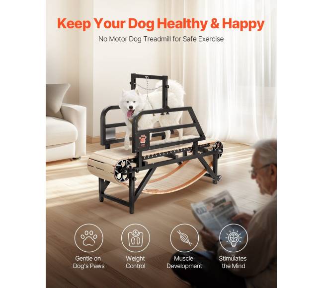 Šunų bėgimo takelis vidutiniams šunims iki 100 kg1