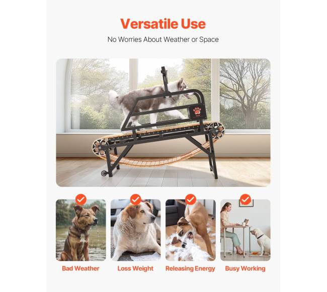 Šunų bėgimo takelis vidutiniams šunims iki 100 kg5