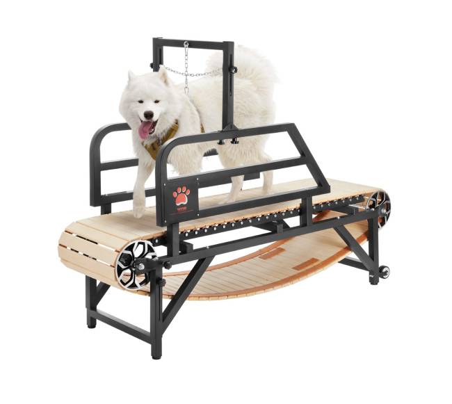 Šunų bėgimo takelis dideliems šunims iki 100 kg0