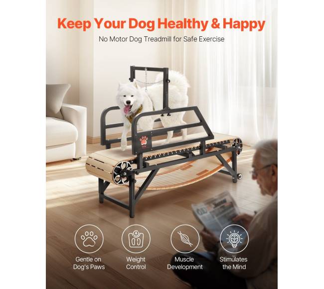 Šunų bėgimo takelis dideliems šunims iki 100 kg1