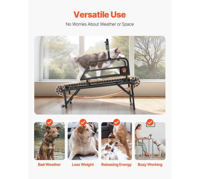 Šunų bėgimo takelis dideliems šunims iki 100 kg5