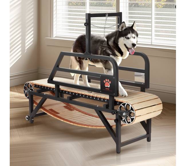 Šunų bėgimo takelis dideliems šunims iki 100 kg7