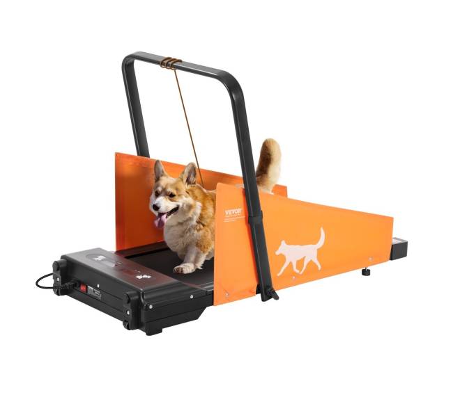 Šunų bėgimo takelis vidutinio dydžio šunims0