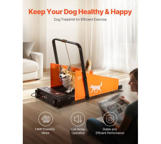 Šunų bėgimo takelis vidutinio dydžio šunims1