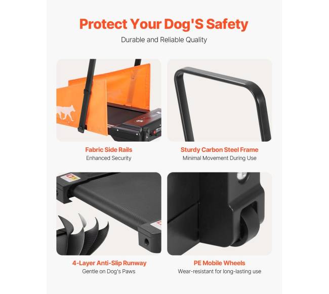 Šunų bėgimo takelis vidutinio dydžio šunims4